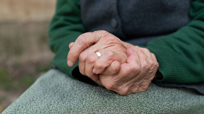 Sindnapi - Sindicato Nacional dos Aposentados, Pensionistas e Idosos