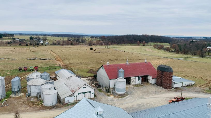 Parajara Moraes Alves Junior