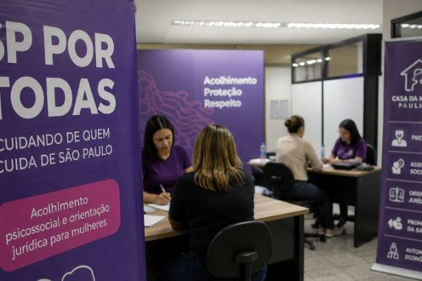 O impacto do circuito integrado de proteção à mulher e a eficiência das políticas públicas de segurança